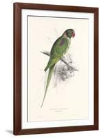 Hooded Parakeet-Edward Lear-Framed Giclee Print