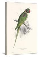 Hooded Parakeet-Edward Lear-Stretched Canvas
