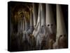 Hooded Penitents as They Leave to Take Part in a Procession in Seville-null-Stretched Canvas