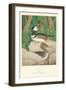Hooded Sheldrake Duck-null-Framed Art Print