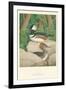 Hooded Sheldrake Duck-null-Framed Art Print