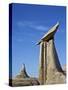 Hoodoo and Cone, Bisti Wilderness, New Mexico, United States of America, North America-James Hager-Stretched Canvas