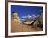 Hoodoo at the Mesa Area, Zion National Park, Utah, USA-null-Framed Photographic Print