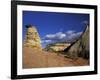 Hoodoo at the Mesa Area, Zion National Park, Utah, USA-null-Framed Photographic Print