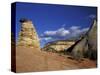 Hoodoo at the Mesa Area, Zion National Park, Utah, USA-null-Stretched Canvas