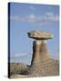 Hoodoo, Bisti Wilderness, New Mexico, United States of America, North America-James Hager-Stretched Canvas