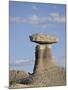 Hoodoo, Bisti Wilderness, New Mexico, United States of America, North America-James Hager-Mounted Photographic Print