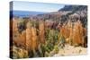 Hoodoo Rock Formations from the Fairyland Trail-Michael Nolan-Stretched Canvas