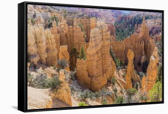 Hoodoo Rock Formations from the Fairyland Trail-Michael Nolan-Framed Stretched Canvas