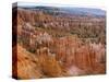 Hoodoo Rock Formations in a Canyon from Sunset Point, Bryce Canyon National Park, Utah, Usa-null-Stretched Canvas