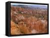 Hoodoo Rock Formations in a Canyon from Sunset Point, Bryce Canyon National Park, Utah, Usa-null-Framed Stretched Canvas