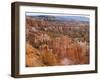 Hoodoo Rock Formations in a Canyon from Sunset Point, Bryce Canyon National Park, Utah, Usa-null-Framed Photographic Print