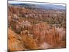 Hoodoo Rock Formations in a Canyon from Sunset Point, Bryce Canyon National Park, Utah, Usa-null-Mounted Photographic Print