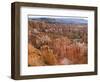 Hoodoo Rock Formations in a Canyon from Sunset Point, Bryce Canyon National Park, Utah, Usa-null-Framed Photographic Print