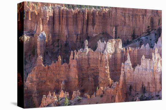 Hoodoo Rock Formations in Bryce Canyon Amphitheater-Michael Nolan-Stretched Canvas