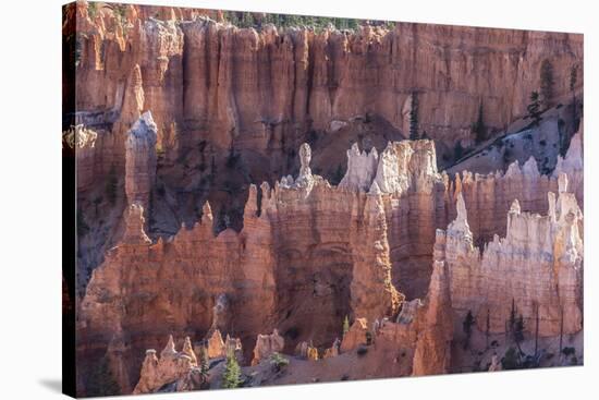 Hoodoo Rock Formations in Bryce Canyon Amphitheater-Michael Nolan-Stretched Canvas