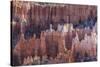 Hoodoo Rock Formations in Bryce Canyon Amphitheater-Michael Nolan-Stretched Canvas