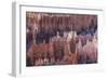 Hoodoo Rock Formations in Bryce Canyon Amphitheater-Michael Nolan-Framed Photographic Print