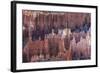 Hoodoo Rock Formations in Bryce Canyon Amphitheater-Michael Nolan-Framed Photographic Print