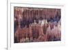 Hoodoo Rock Formations in Bryce Canyon Amphitheater-Michael Nolan-Framed Photographic Print