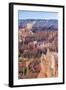 Hoodoo Rock Formations in Bryce Canyon Amphitheater-Michael Nolan-Framed Photographic Print