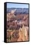 Hoodoo Rock Formations in Bryce Canyon Amphitheater-Michael Nolan-Framed Stretched Canvas