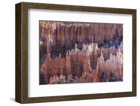 Hoodoo Rock Formations in Bryce Canyon Amphitheater-Michael Nolan-Framed Photographic Print