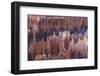 Hoodoo Rock Formations in Bryce Canyon Amphitheater-Michael Nolan-Framed Photographic Print