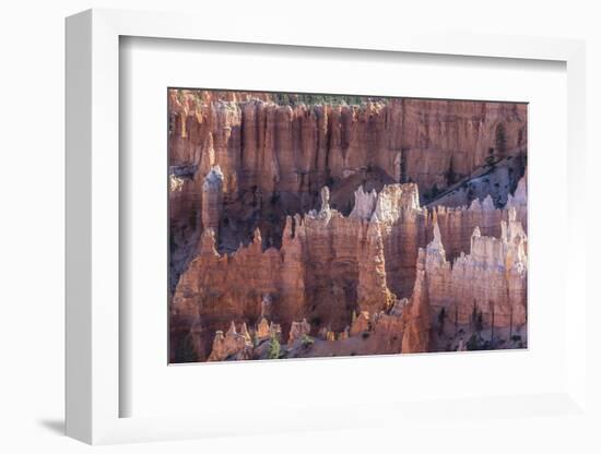 Hoodoo Rock Formations in Bryce Canyon Amphitheater-Michael Nolan-Framed Photographic Print