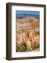 Hoodoo Rock Formations in Bryce Canyon Amphitheater-Michael Nolan-Framed Photographic Print