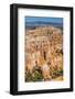 Hoodoo Rock Formations in Bryce Canyon Amphitheater-Michael Nolan-Framed Photographic Print