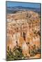 Hoodoo Rock Formations in Bryce Canyon Amphitheater-Michael Nolan-Mounted Photographic Print