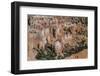 Hoodoo Rock Formations in Bryce Canyon Amphitheater-Michael Nolan-Framed Photographic Print
