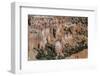 Hoodoo Rock Formations in Bryce Canyon Amphitheater-Michael Nolan-Framed Photographic Print