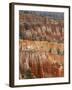 Hoodoo Sandstone Structures, Bryce Canyon National Park, Utah, USA-Pete Cairns-Framed Photographic Print