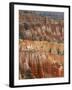 Hoodoo Sandstone Structures, Bryce Canyon National Park, Utah, USA-Pete Cairns-Framed Photographic Print