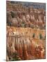 Hoodoo Sandstone Structures, Bryce Canyon National Park, Utah, USA-Pete Cairns-Mounted Photographic Print