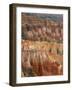 Hoodoo Sandstone Structures, Bryce Canyon National Park, Utah, USA-Pete Cairns-Framed Photographic Print