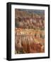 Hoodoo Sandstone Structures, Bryce Canyon National Park, Utah, USA-Pete Cairns-Framed Photographic Print