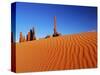 Hoodoos and Dune-Ron Watts-Stretched Canvas