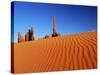 Hoodoos and Dune-Ron Watts-Stretched Canvas