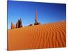 Hoodoos and Dune-Ron Watts-Stretched Canvas