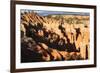 Hoodoos and Lone Pine Tree on a Ridge Lit by Late Afternoon Sun-Eleanor-Framed Photographic Print