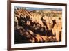 Hoodoos and Lone Pine Tree on a Ridge Lit by Late Afternoon Sun-Eleanor-Framed Photographic Print