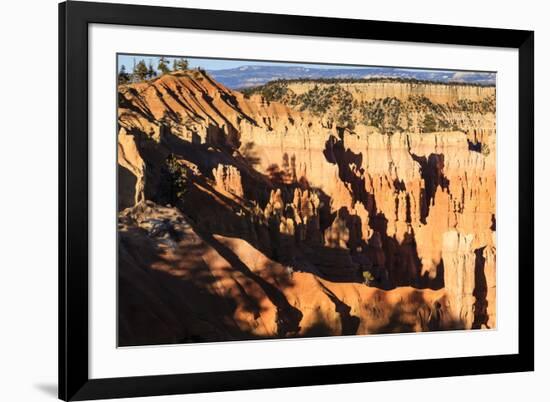 Hoodoos and Lone Pine Tree on a Ridge Lit by Late Afternoon Sun-Eleanor-Framed Photographic Print