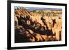 Hoodoos and Lone Pine Tree on a Ridge Lit by Late Afternoon Sun-Eleanor-Framed Photographic Print