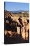 Hoodoos and Lone Pine Tree on a Ridge Lit by Late Afternoon Sun-Eleanor-Stretched Canvas