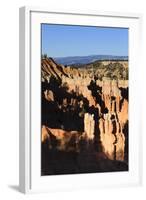 Hoodoos and Lone Pine Tree on a Ridge Lit by Late Afternoon Sun-Eleanor-Framed Photographic Print