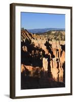 Hoodoos and Lone Pine Tree on a Ridge Lit by Late Afternoon Sun-Eleanor-Framed Photographic Print