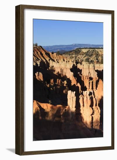Hoodoos and Lone Pine Tree on a Ridge Lit by Late Afternoon Sun-Eleanor-Framed Photographic Print